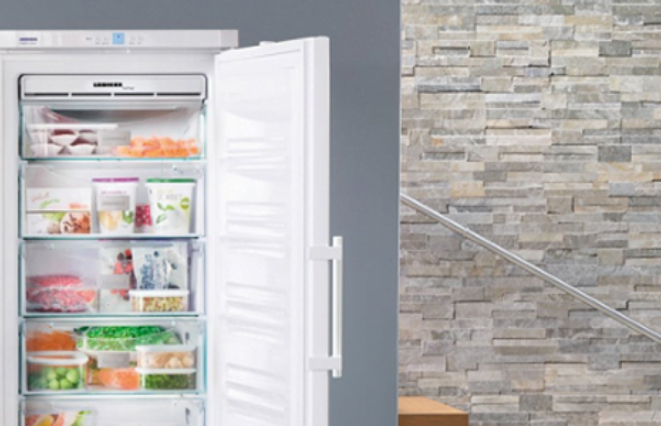 congelator vertical bun