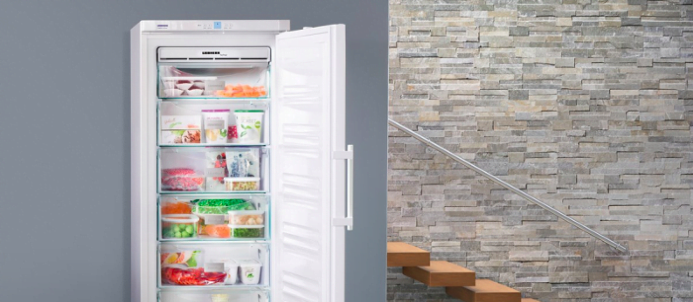 cel mai bun congelator