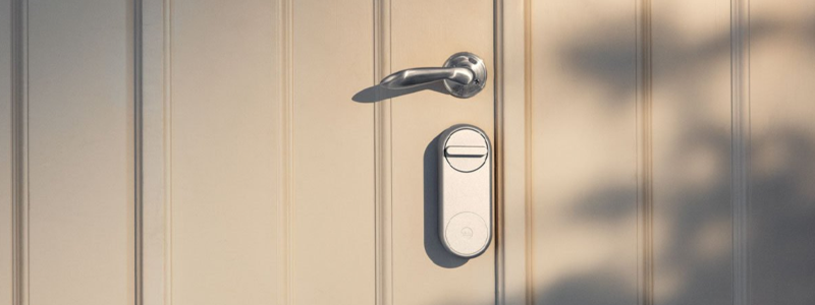 incuietori inteligente ieftine