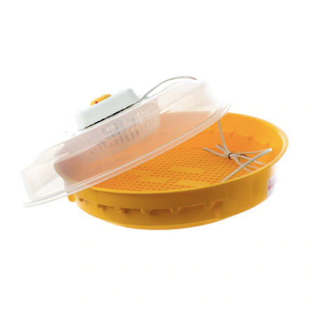 incubatoare de oua de top